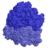 リボソーム（青）