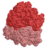 核糖体（紅色）
