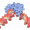 TATA-Binding Protein