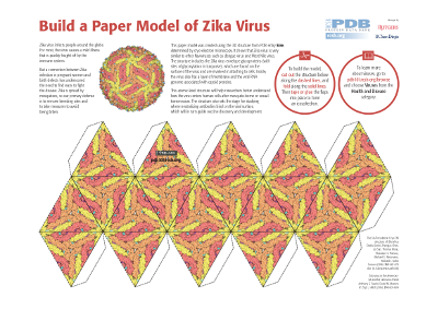 Papermodel of Zika virus