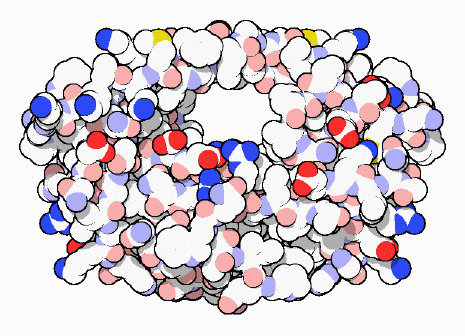 HIV-1タンパク質分解酵素（PDB:3hvp）