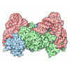 Aminoacyl-tRNA Synthetases