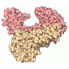 HIV Reverse Transcriptase