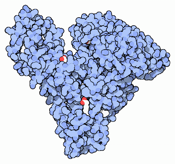 血清アルブミン（PDB:1e7i）