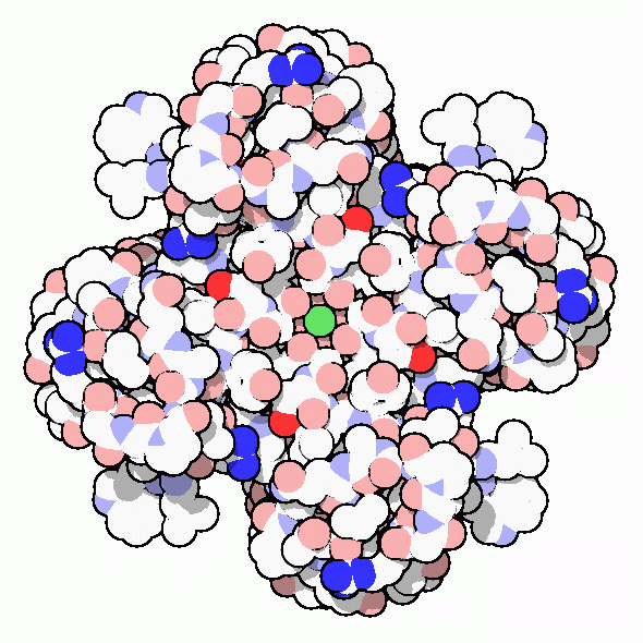 カリウムイオンチャネルのフィルタ部分（PDB:1bl8）