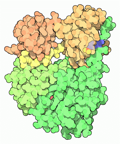 Srcチロシンキナーゼ（PDB:2src）