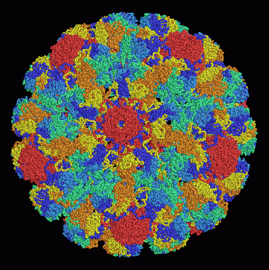 シミアンウイルス40のカプシド（中央、PDB:1sva）