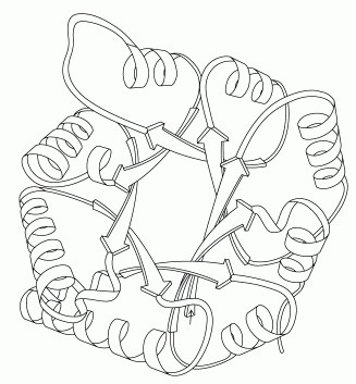 ３炭糖リン酸異性化酵素（PDB:2ypi）の折りたたみ様式を示した図。内側のβバレルを外側のαらせんが囲んでいる。