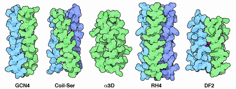 左からGCN4（PDB:2zta）、コイルセリン（PDB:1cos）、α3D（PDB:2a3d）、RH4（PDB:1rh4）、DF2（PDB:1jmb）