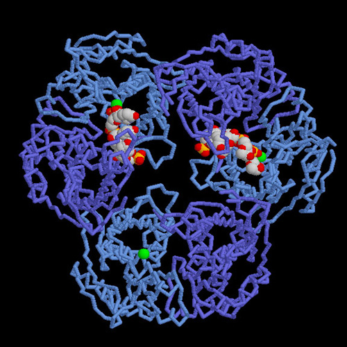 古細菌由来のエキソソーム（PDB:2c37）。６つのサブユニットが環状に並び、活性部位にはRNA分子が結合している。