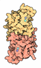 超酸化物不均化酵素（PDB:2sod）
