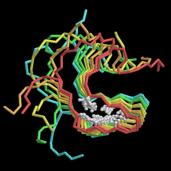 HET-sタンパク質（PDB:2rnm）