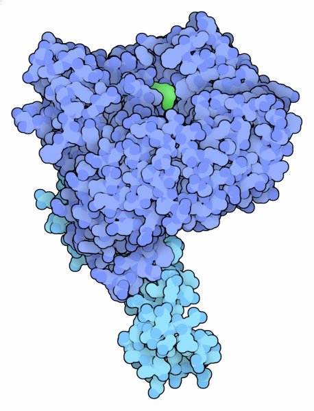 TIR1ユビキチンリガーゼ（PDB:2p1p）上部中央にある緑の分子は天然オーキシンのインドール酢酸（IAA）