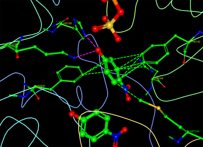 硫酸転移酵素とp-ニトロフェノールの相互作用の様子（PDB:2zyv）