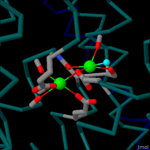 118 ナトリウム カリウムポンプ Sodium Potassium Pump 今月の分子 Pdbj入門