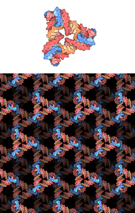 人工DNA格子（PDB:3gbi）