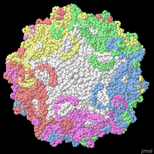 イヌパルボウイルス（PDB:4dpv