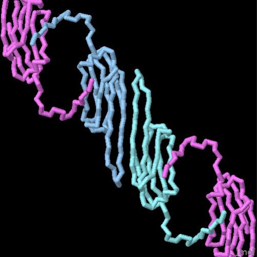 αクリスタリン（PDB:3l1e、3l1g）