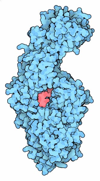 グルカン分解酵素（PDB:3aic）