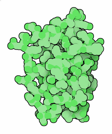 レプチン（PDB:1ax8）
