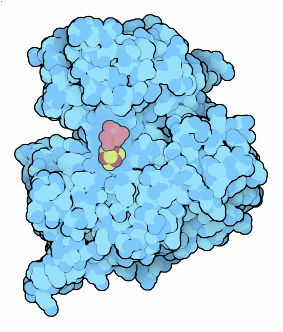 アコニターゼ（PDB:7acn）