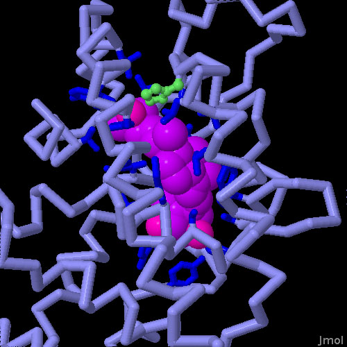 ビタミンD由来のホルモンと弱くしか結合できない変異型のビタミンD受容体のホルモン結合ドメイン（PDB:3m7r）