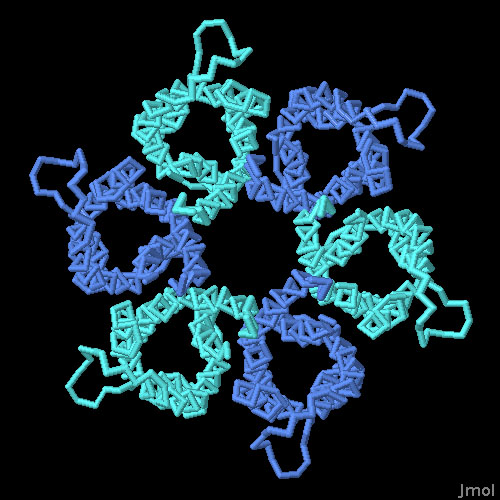 プロトン開閉型尿素チャネル（PDB:3ux4）