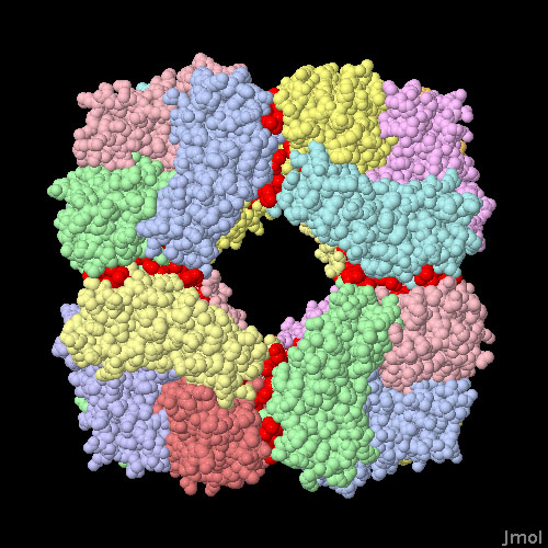 立方体型をしたタンパク質製の籠（PDB:3vcd）