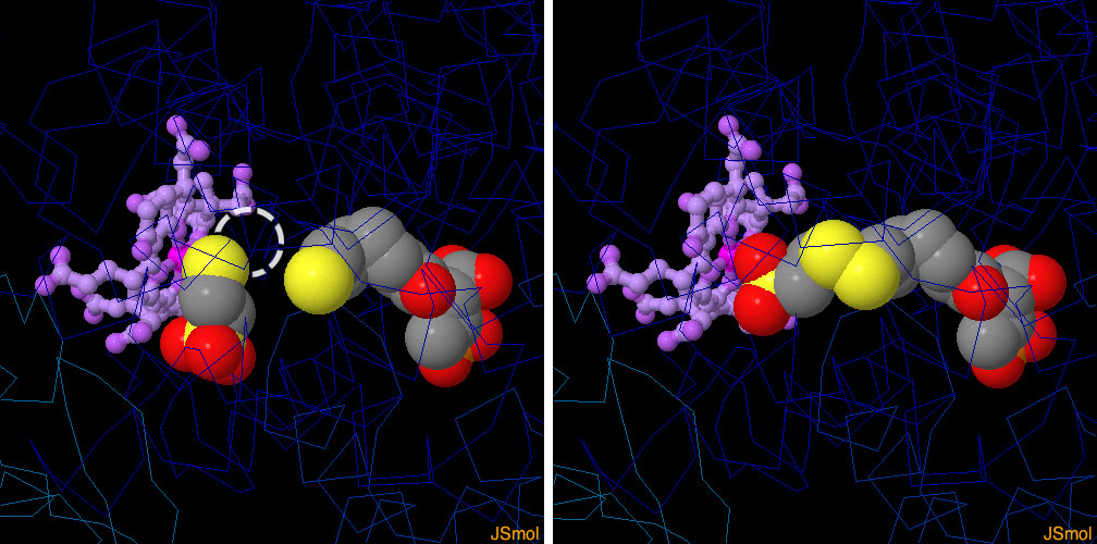 反応前後のメチル補酵素M還元酵素(左：反応前 PDB:1mro、右：反応後 PDB:1hbm)