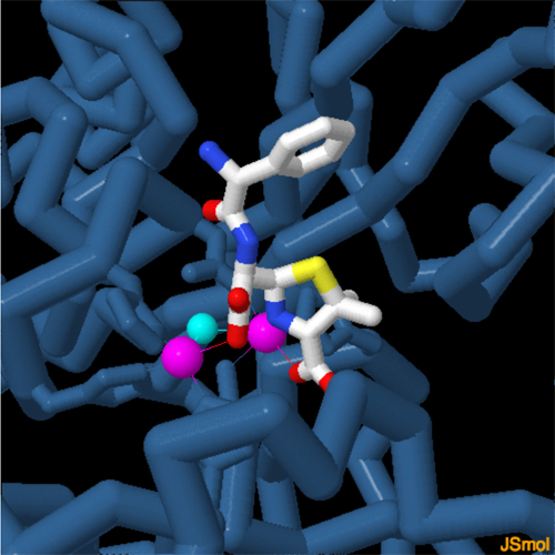 ニューデリー メタロβラクタマーゼと抗生物質のアンピシリン（PDB:3q6x）