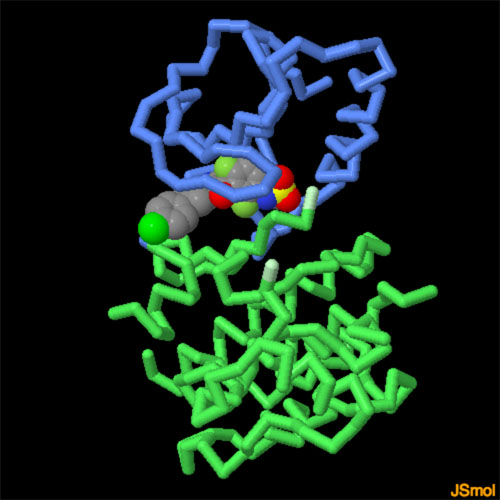 ダブラフェニブと結合したBRAF（PDB:4xv2）
