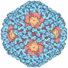 Human Papillomavirus and Vaccines