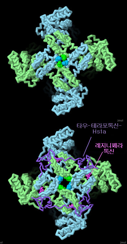 TRPV1의 닫힌 상태와 열린 상태