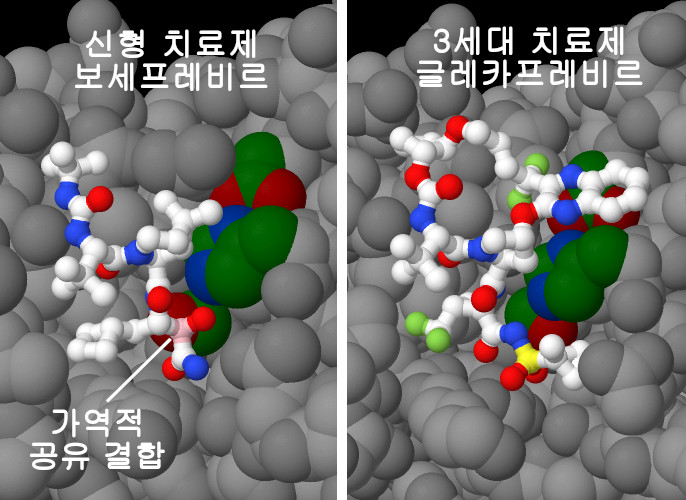 직접 작용형 항바이러스제