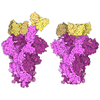 SARS-CoV-2 Spike and Antibodies