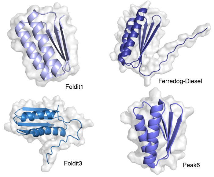 Folditユーザによってつくられた4つのタンパク質（画像はPymolにて作成）。