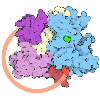 c-Abl Protein Kinase and Imatinib