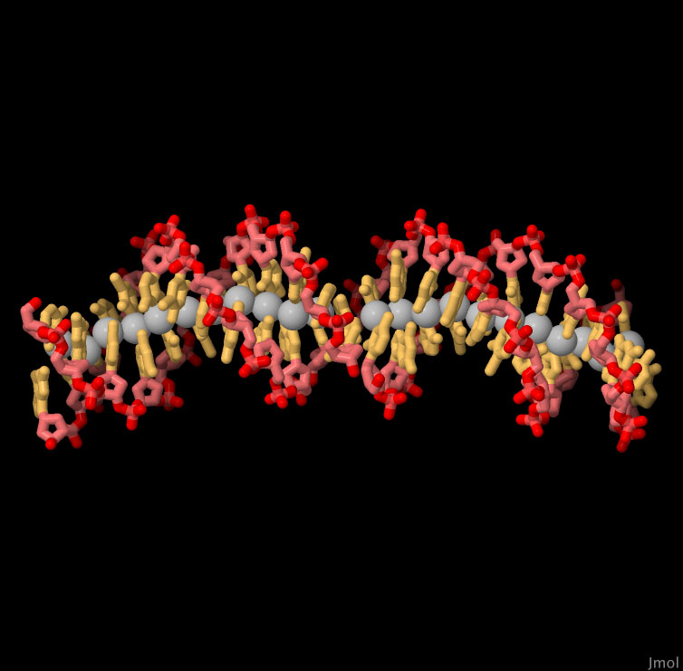人工设计的银 DNA 纳米线