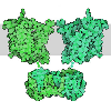 Carbon Capture Mechanisms