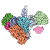 301: Assembly Line Polyketide Synthases