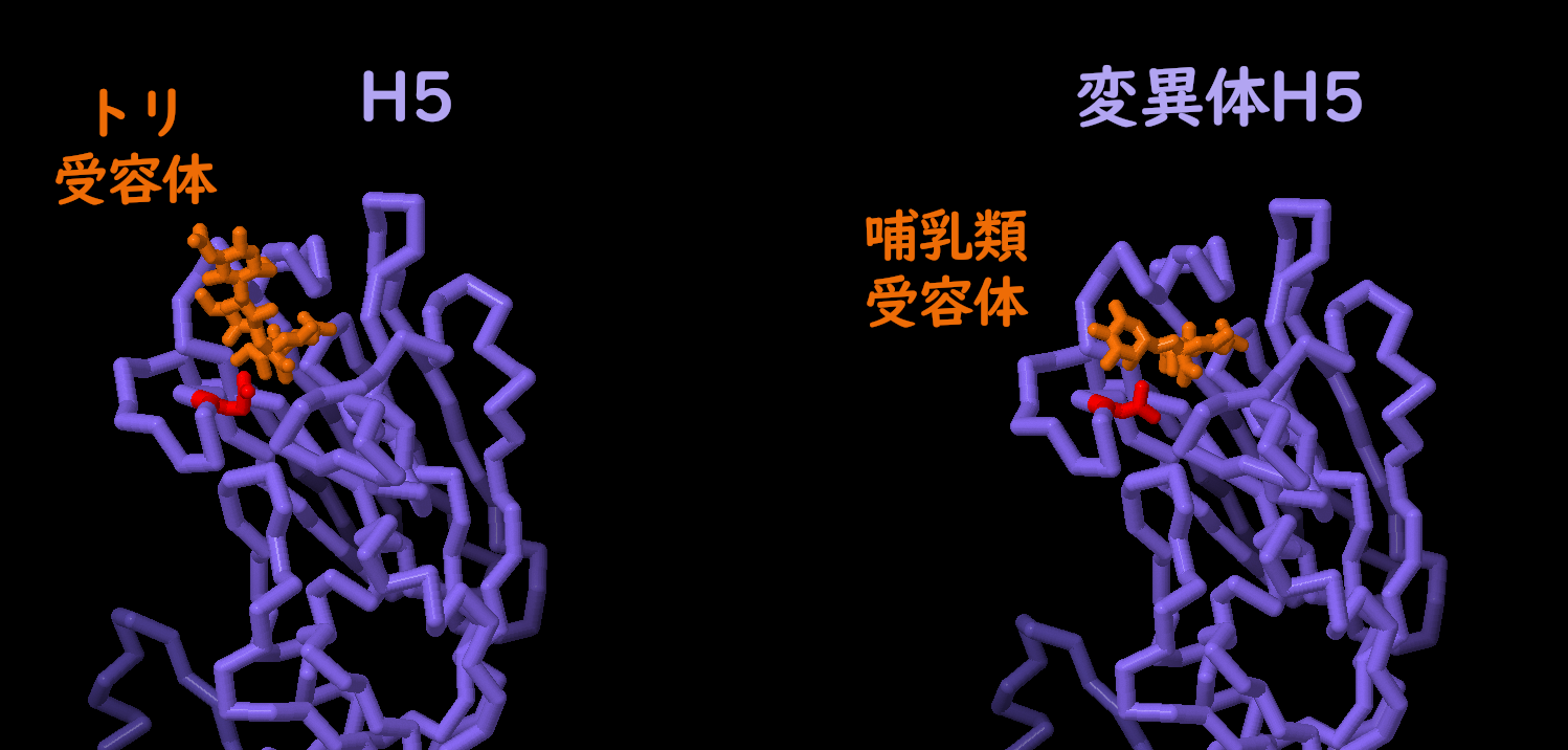 宿主の乗り換え