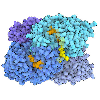 303: Enoyl-CoA Carboxylases/Reductases