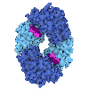 Capturing Beta-Lactamase in Action