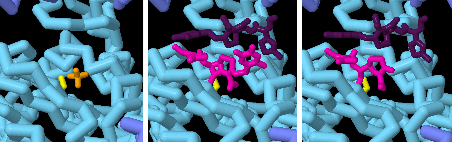 β-ラクタマーゼの働く様子を見る